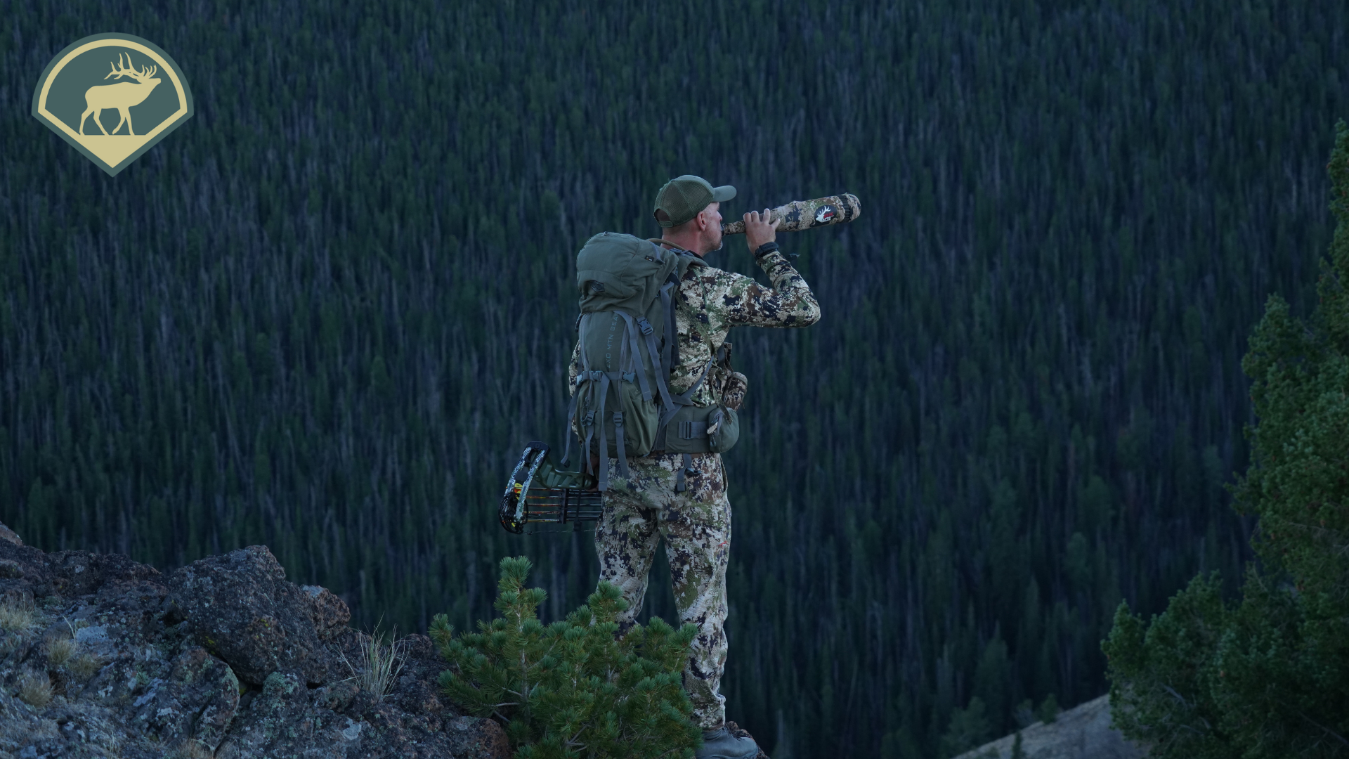 Calling Elk in the Pre-Rut & Peak-Rut with Corey Jacobsen