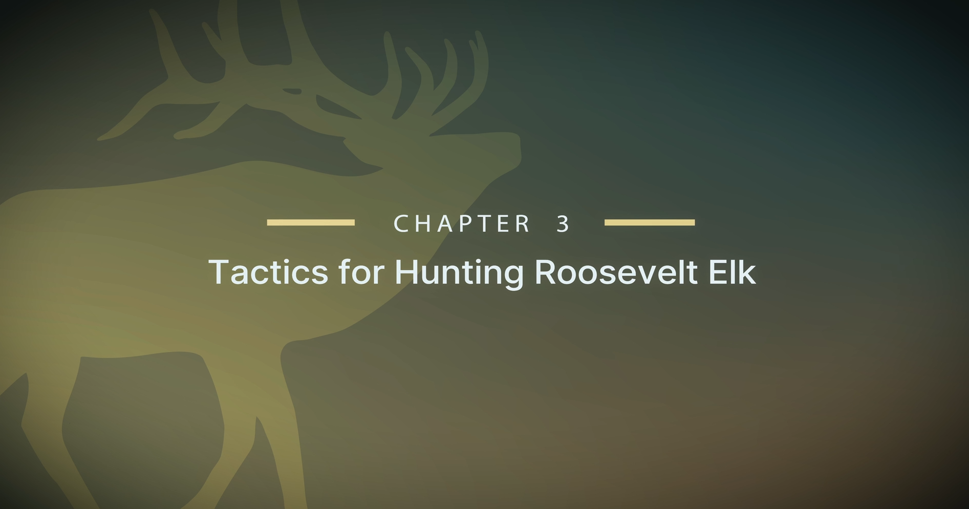 Module 16 - Chapter 3: Tactics for Hunting Roosevelt Elk
