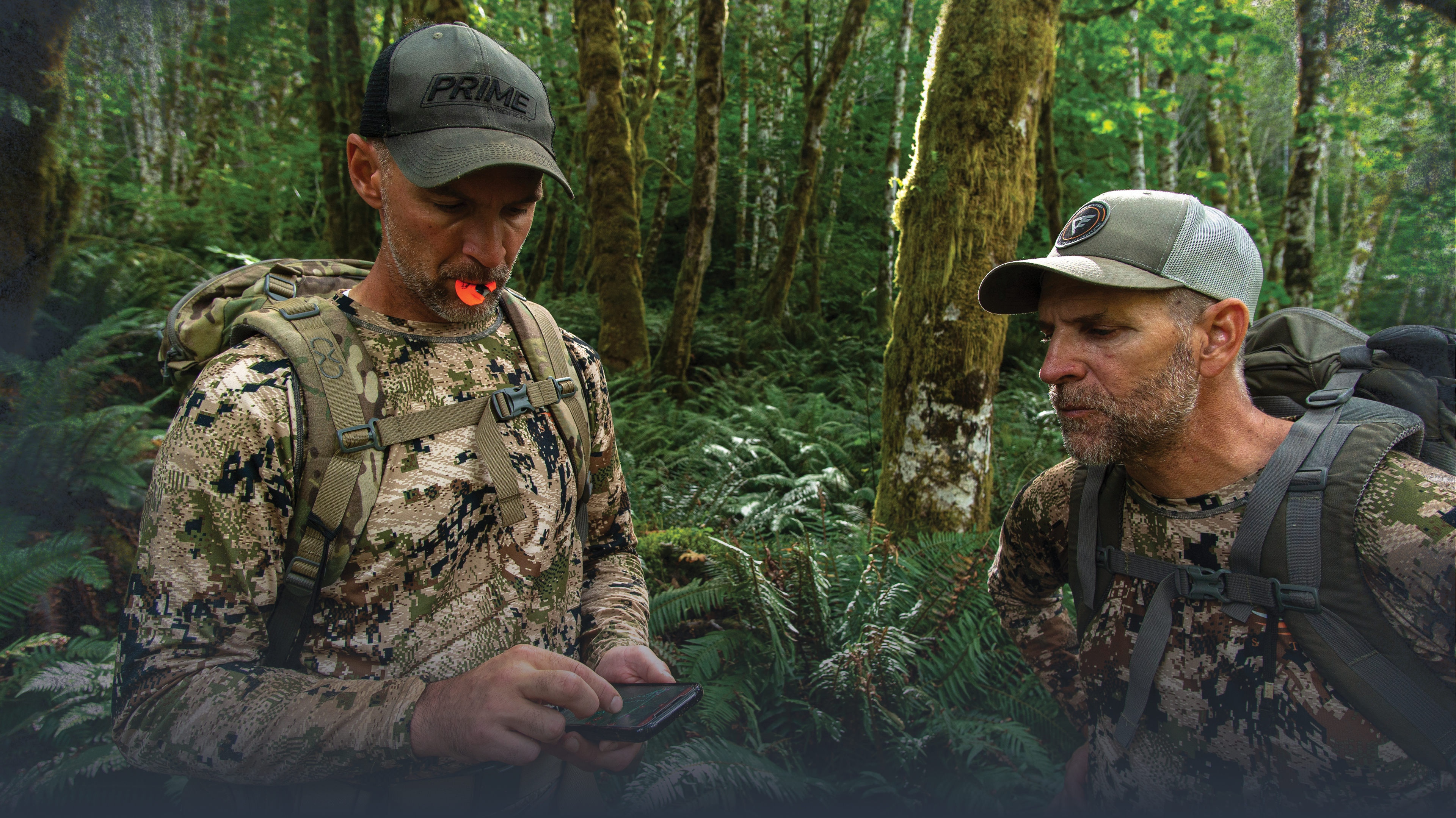 Introduction to E-Scouting for Elk