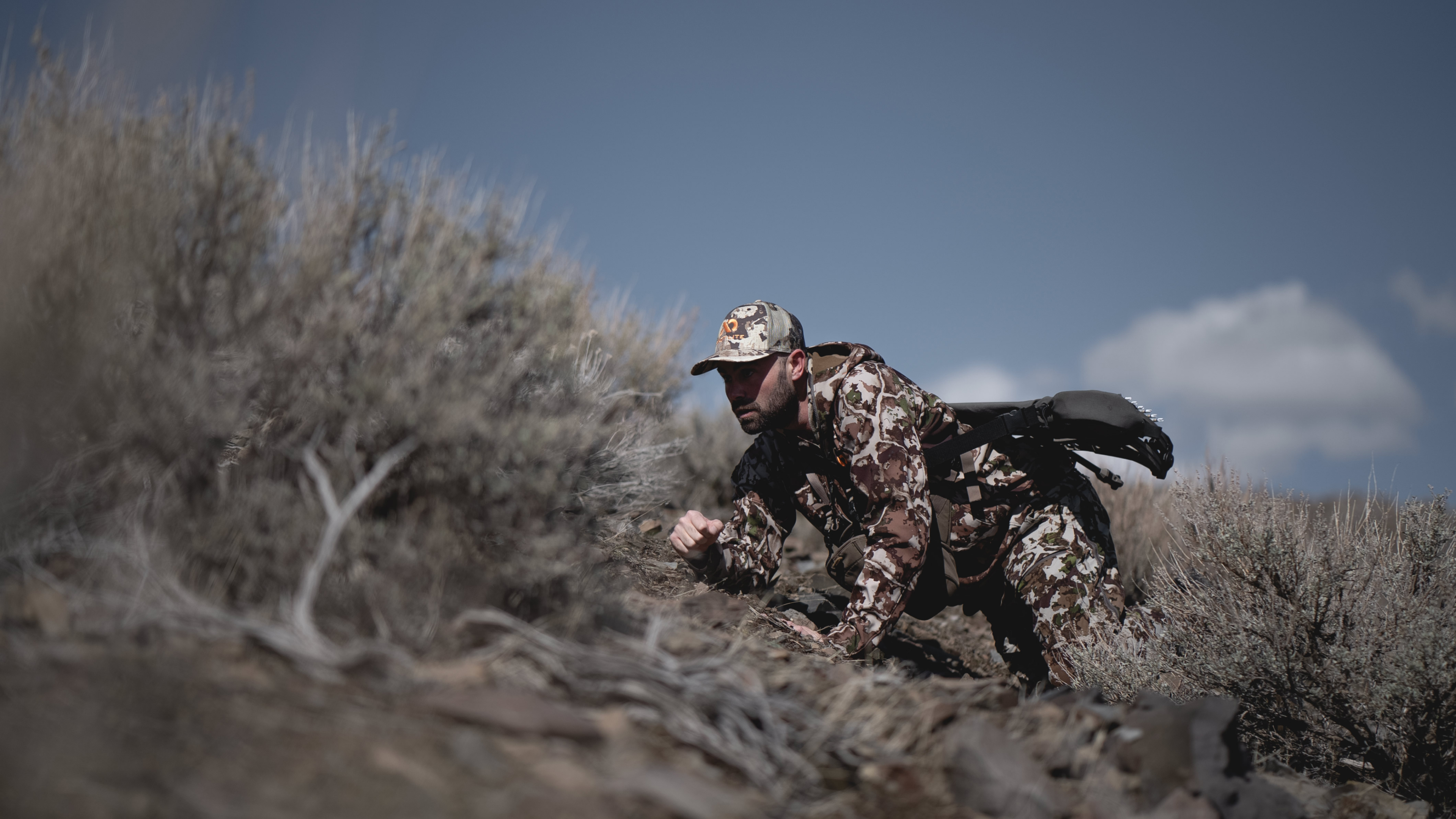 Ch. 5 - Stealth Mode for Mule Deer