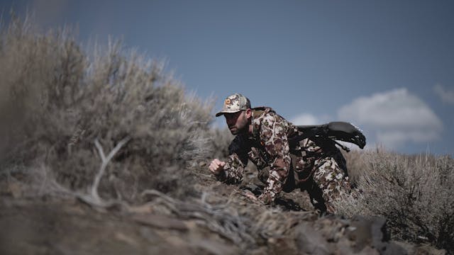 Ch. 5 - Stealth Mode for Mule Deer