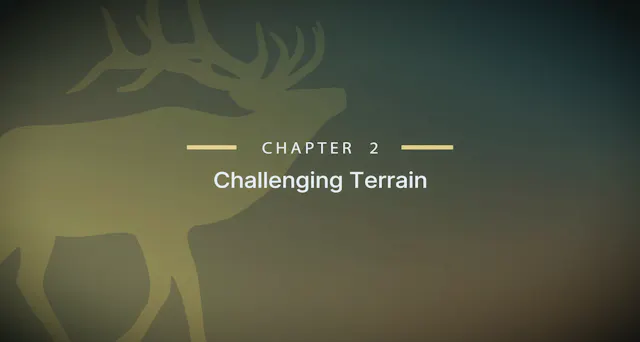 Module 16 - Chapter 2: Challenging Te...