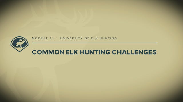 Module 11- Introduction to Common Elk...