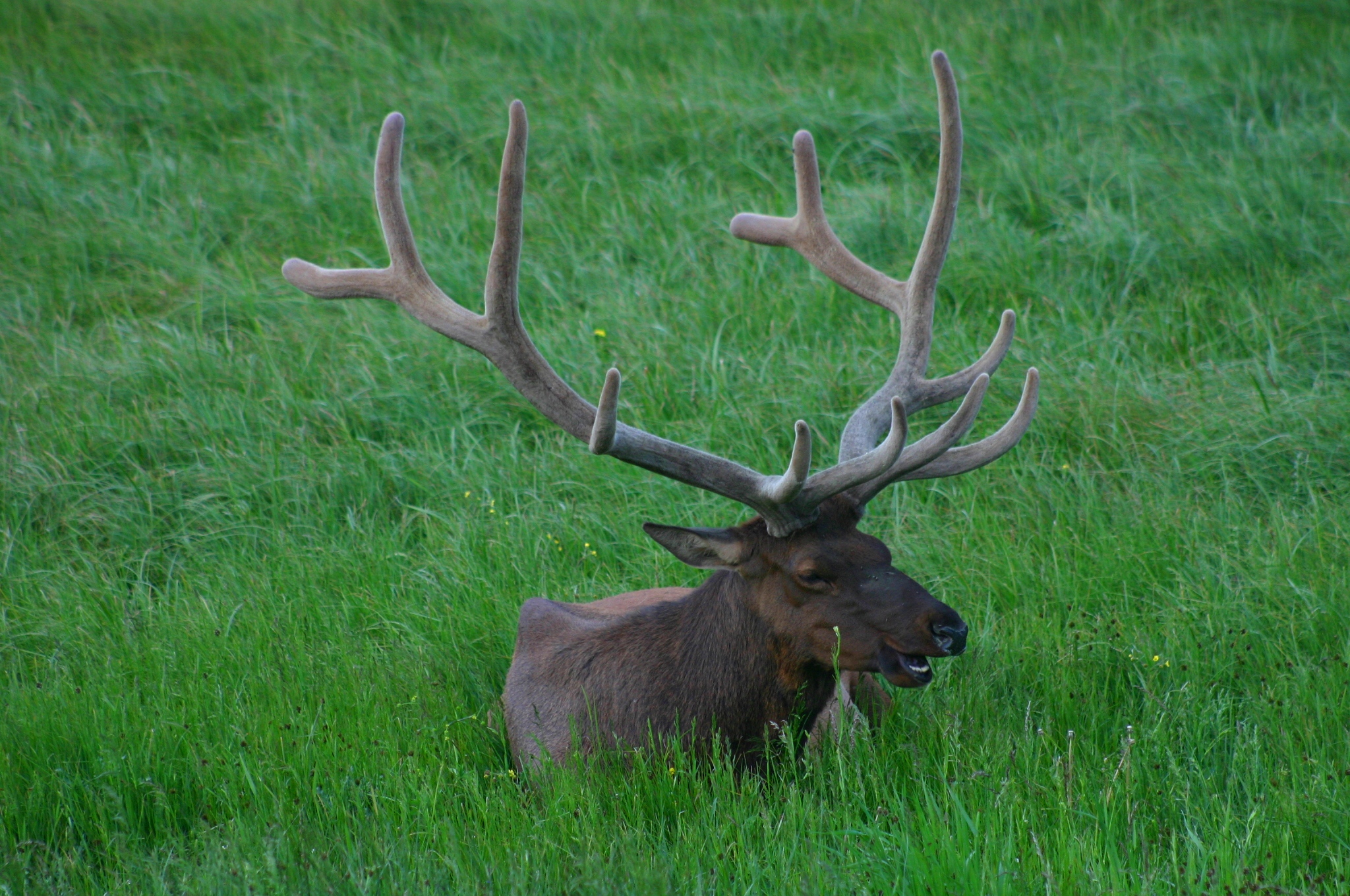 Chapter 6 - Finding Bedding Areas