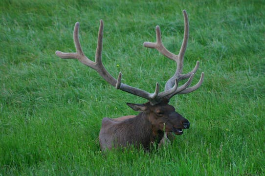 Chapter 6 - Finding Bedding Areas