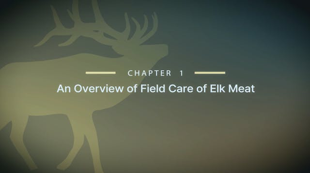 Module 13 - Chapter 1: An Overview of...