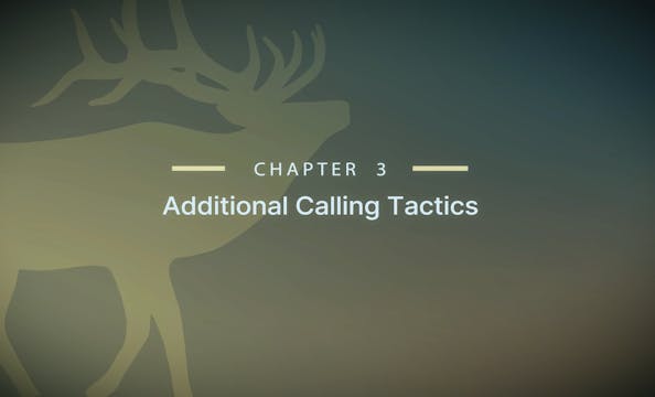 Module 9 - Chapter 3: Calling an Audible