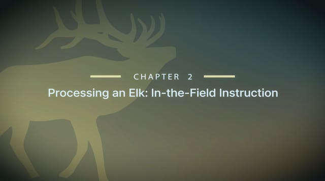 Module 13 - Chapter 2: Processing an ...