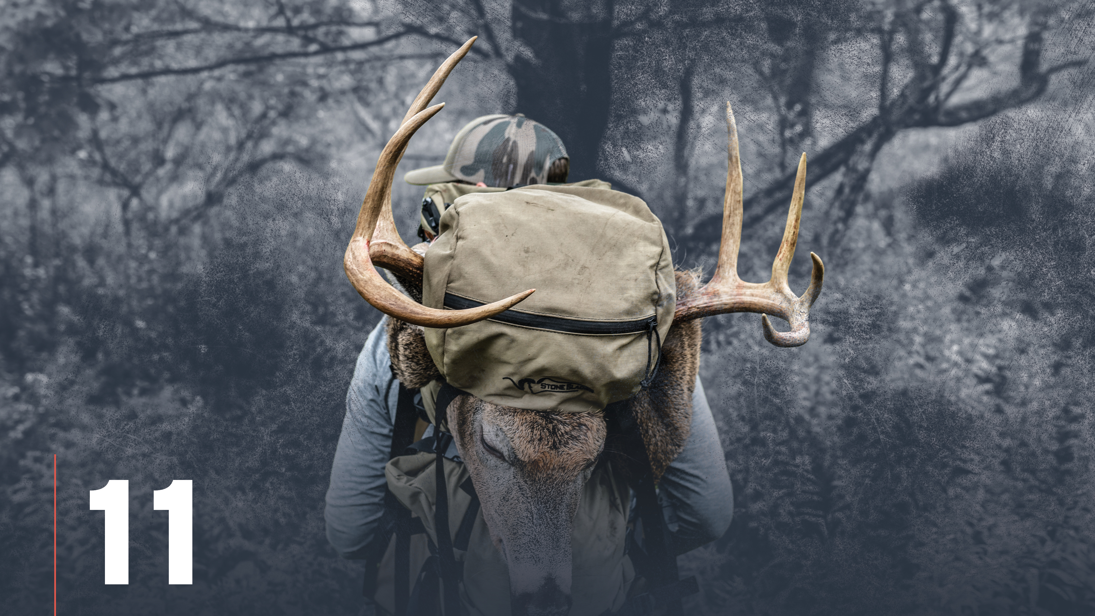 Summer Scouting for Whitetail Deer