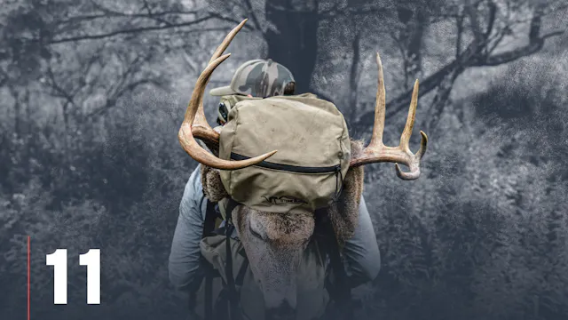 Summer Scouting for Whitetail Deer