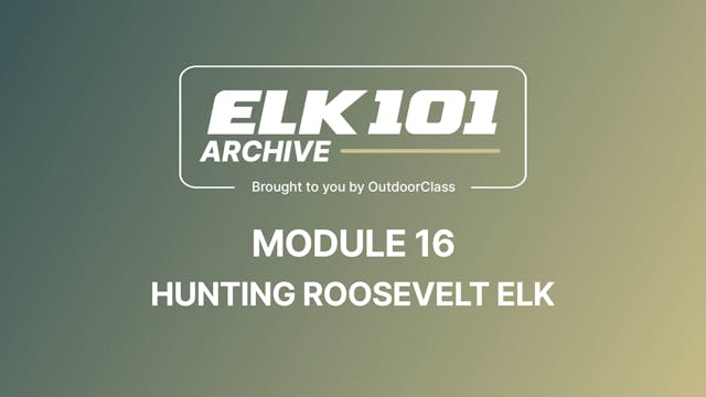 Intro to Module 16 - Hunting Roosevel...