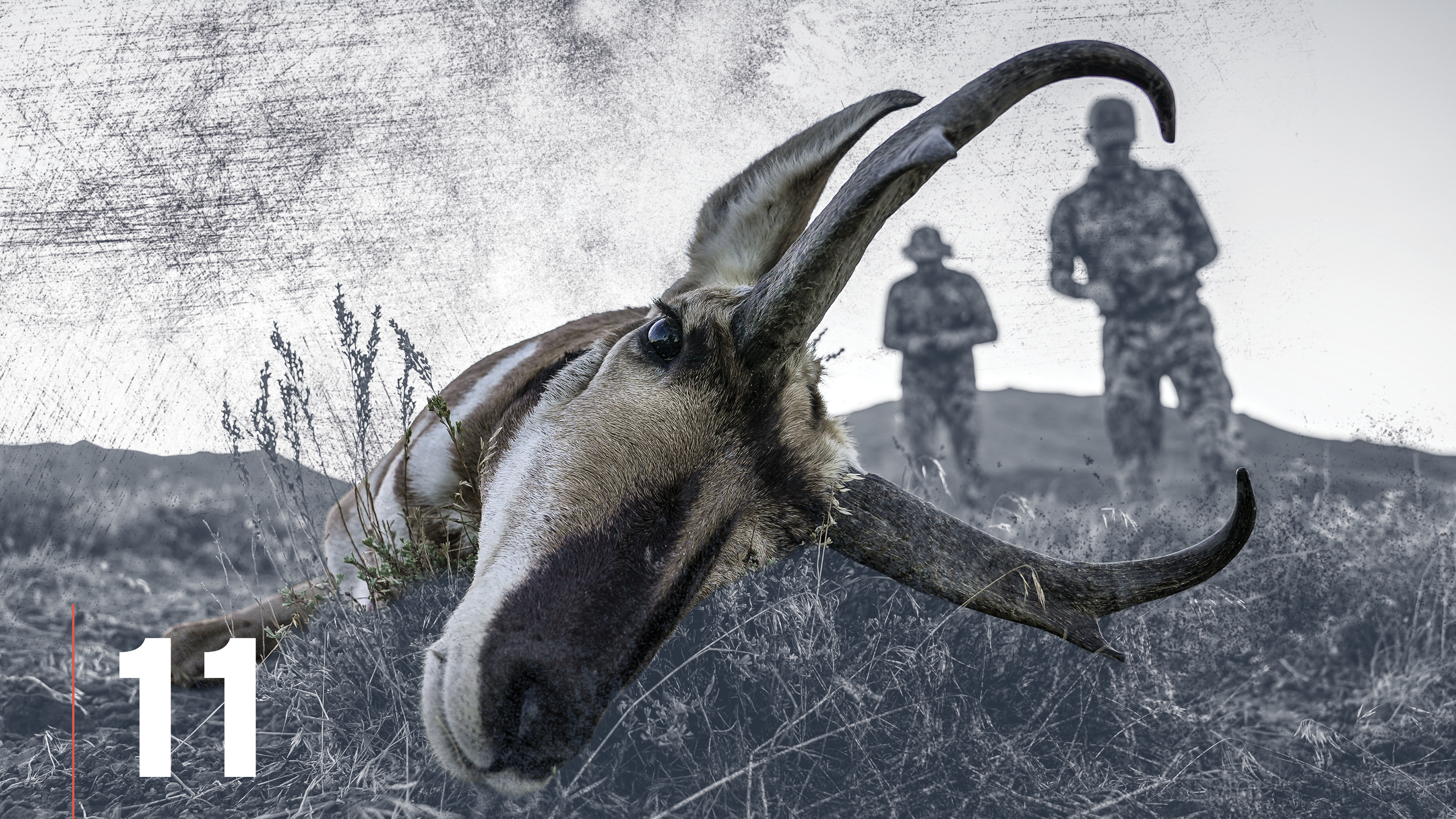 After the Shot: Meat & Trophy Care