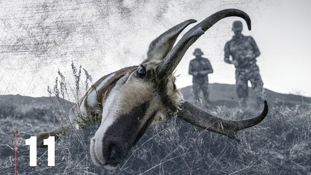 After the Shot: Meat & Trophy Care
