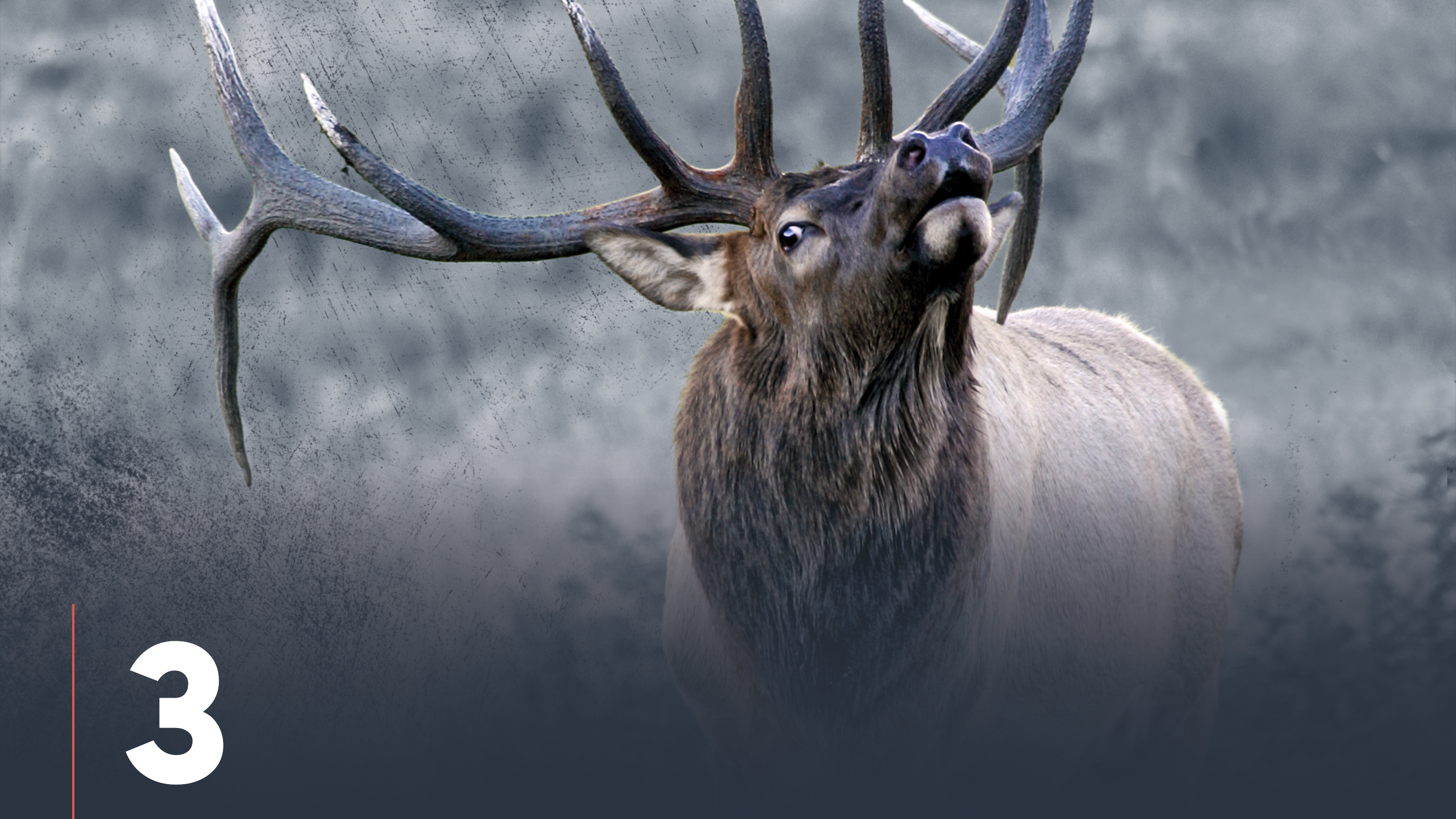 Five Calendar Periods of Elk Hunting