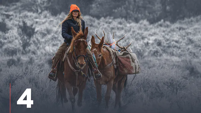 Pack Saddles: Sawbuck vs. Decker