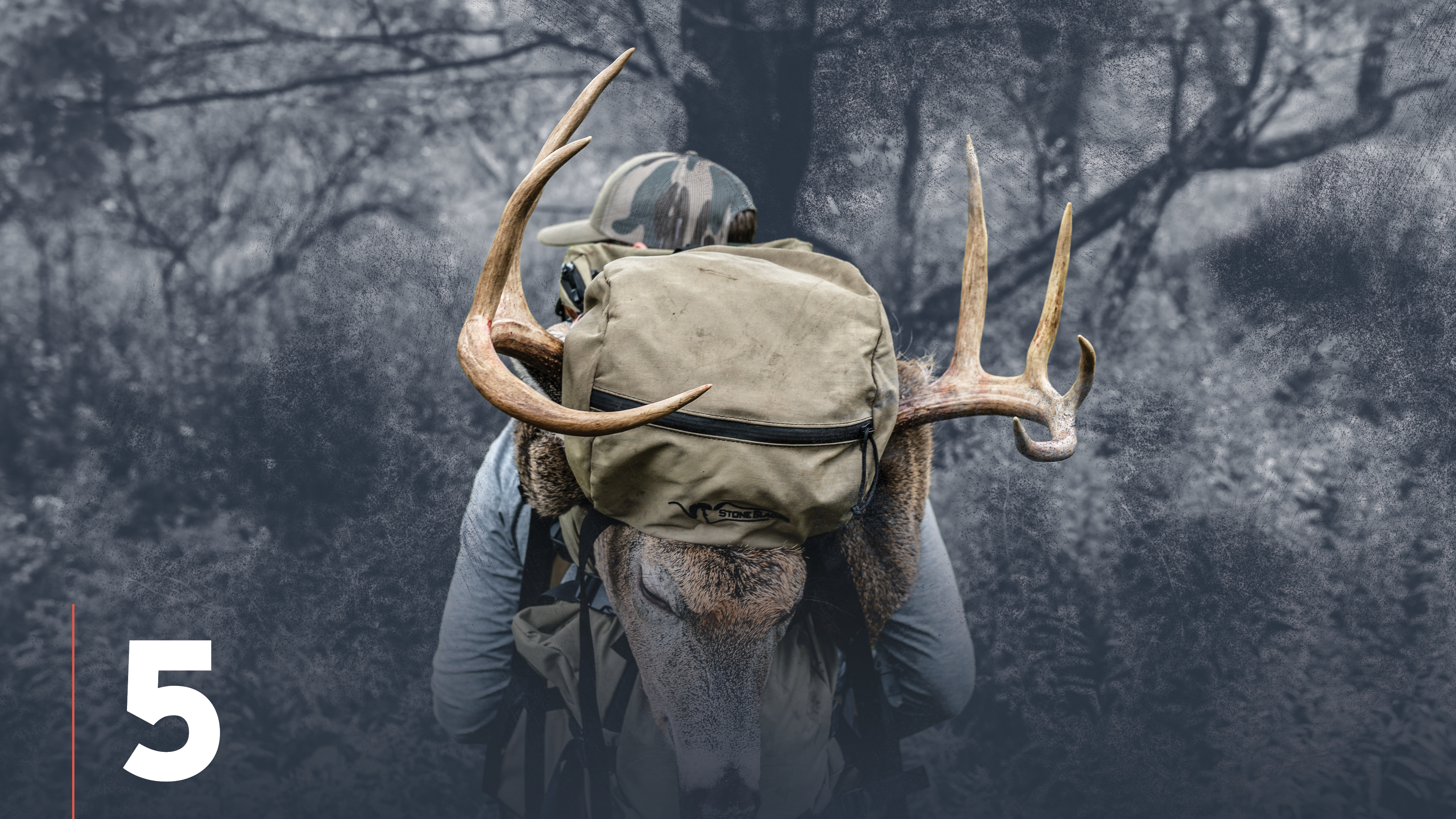 Identifying Important Whitetail Deer Sign
