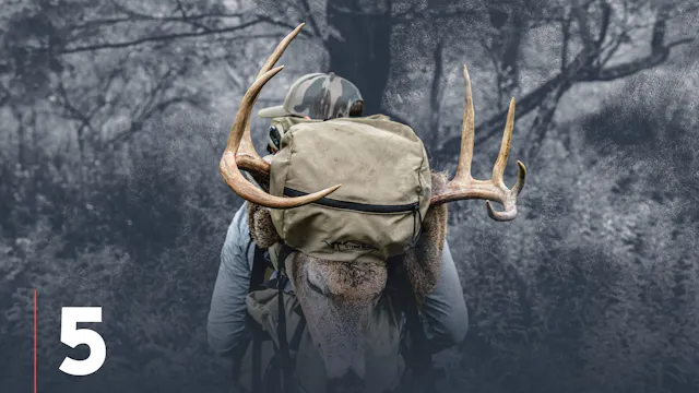 Identifying Important Whitetail Deer ...