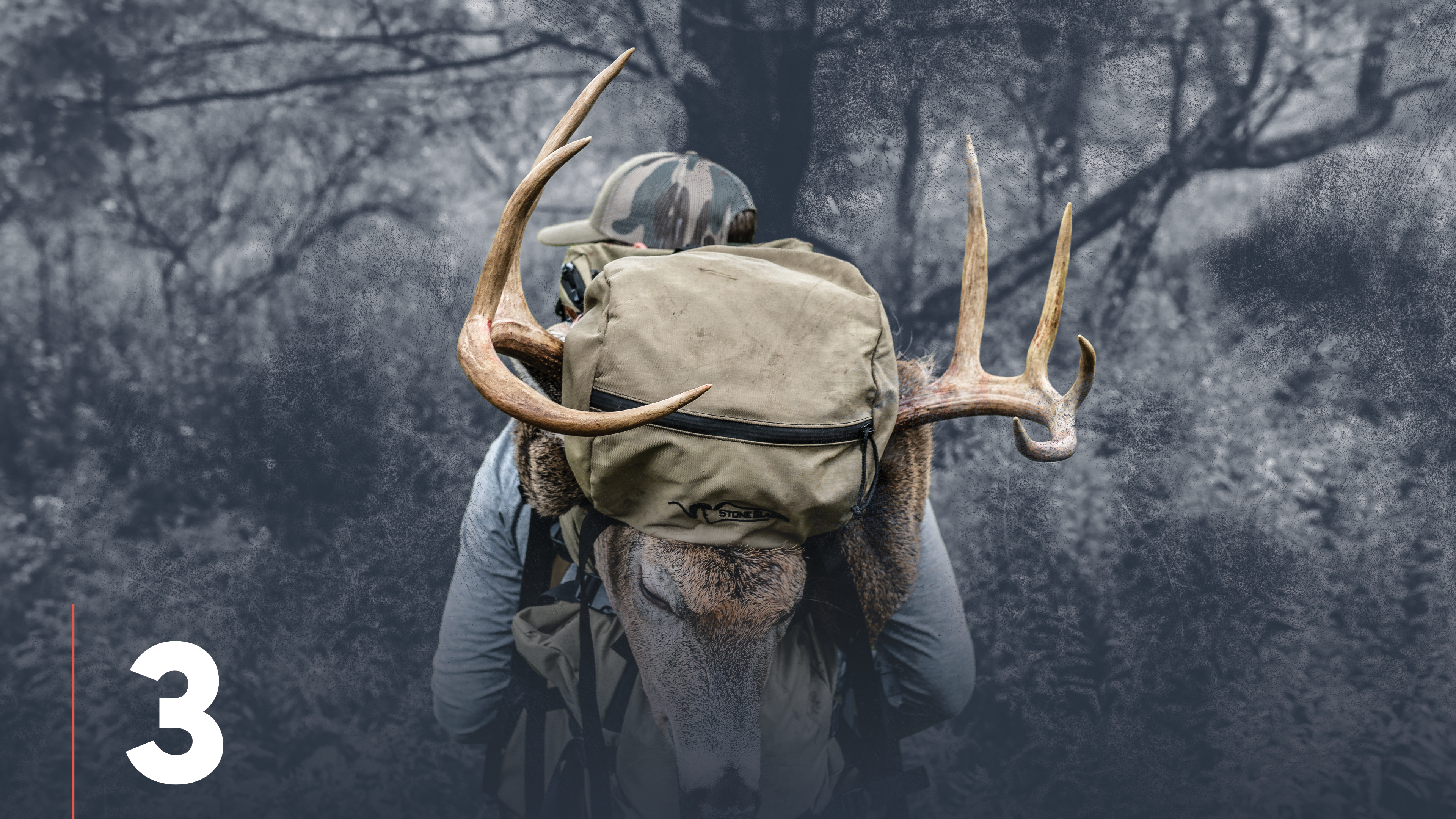 Whitetail Deer E-Scouting Basics