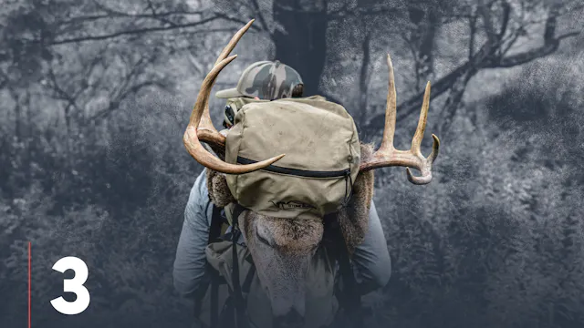 Whitetail Deer E-Scouting Basics