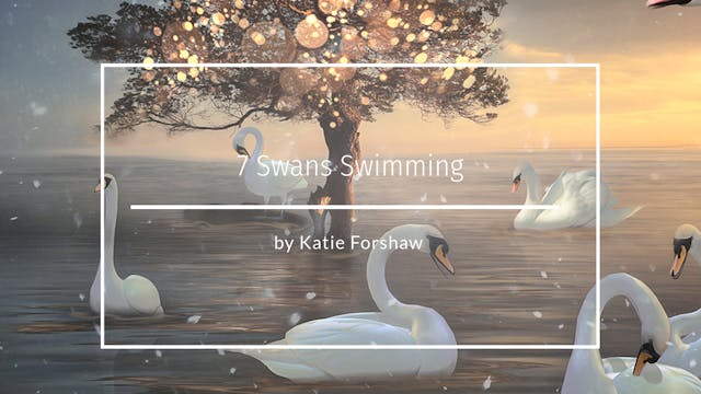 7 swans swimming