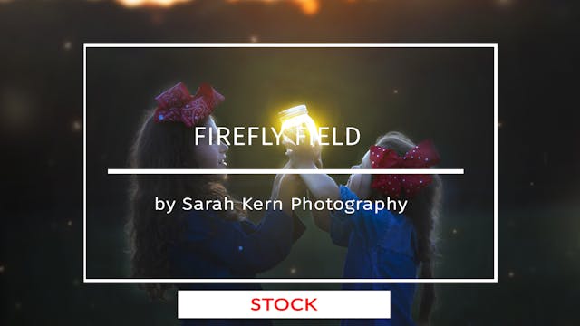 Firefly Field Teaser | SK | August 2020
