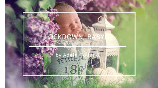 Lockdown, Baby! By Adele Holland May 2020