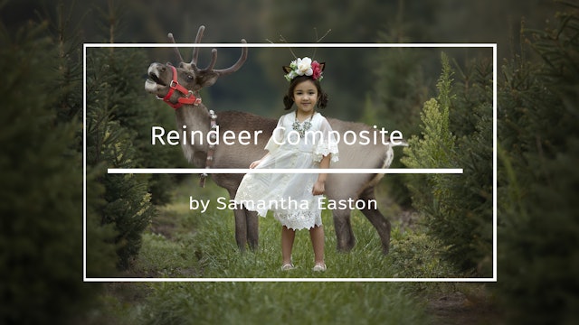Reindeer Composite By Samantha Easton September 2020