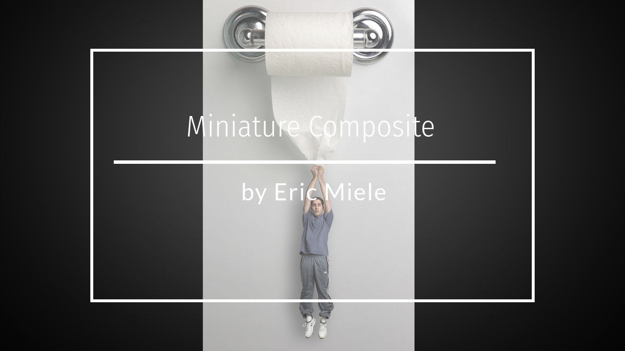 Miniature Composite - Toilet Roll Hanging by Eric Miele