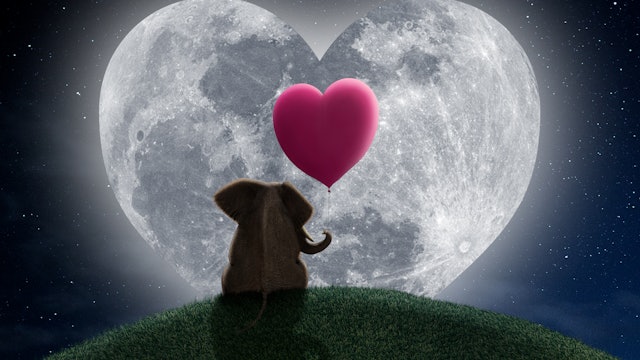 elephant-with-pink-heart-balloon-on-hill-heart-moon.jpg