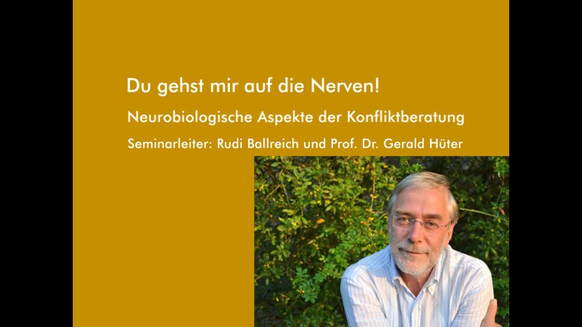 Du gehst mir auf die Nerven! Neurobiologische Aspekte der Konfliktberatung