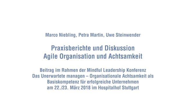 Praxisberichte Agile Organisation und...