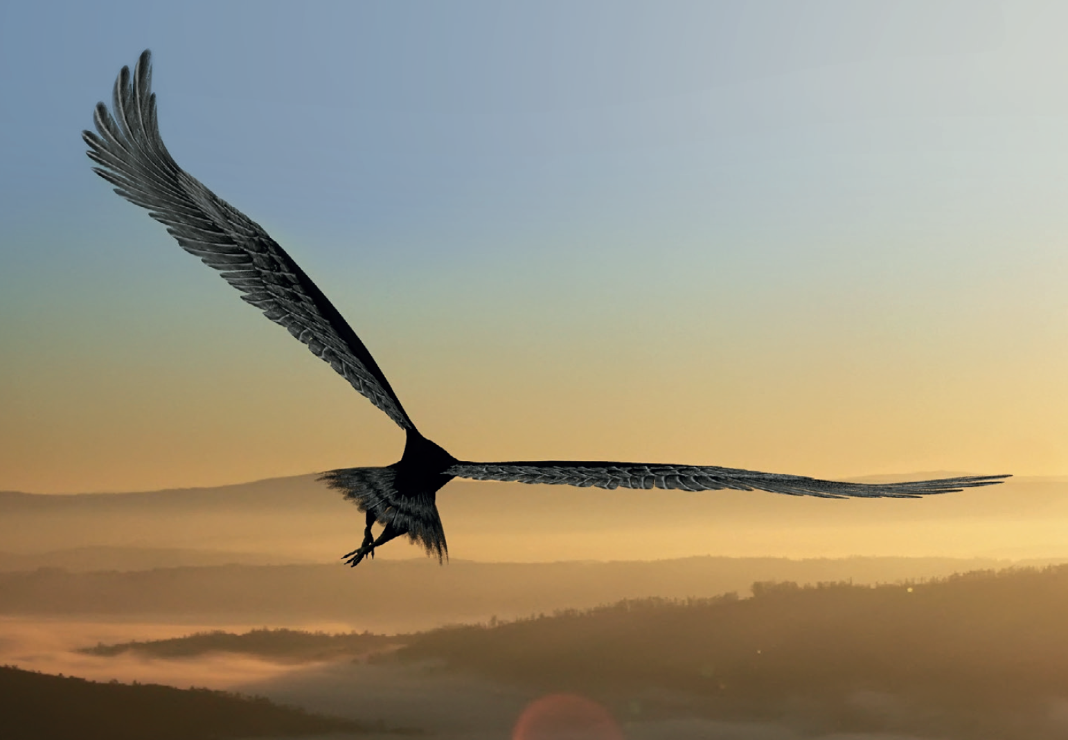 Mindfulness und die Kunst, neu zu denken (7. Mindful Leadership Konferenz 2021)