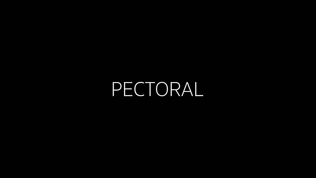 Pectoral