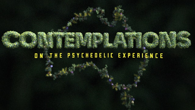 Contemplations : On The Psychedelic Experience