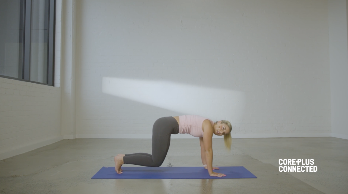 Beginner Friendly Pilates with Lexie