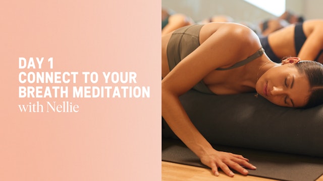 Connect To Your Breath Meditation with Nellie