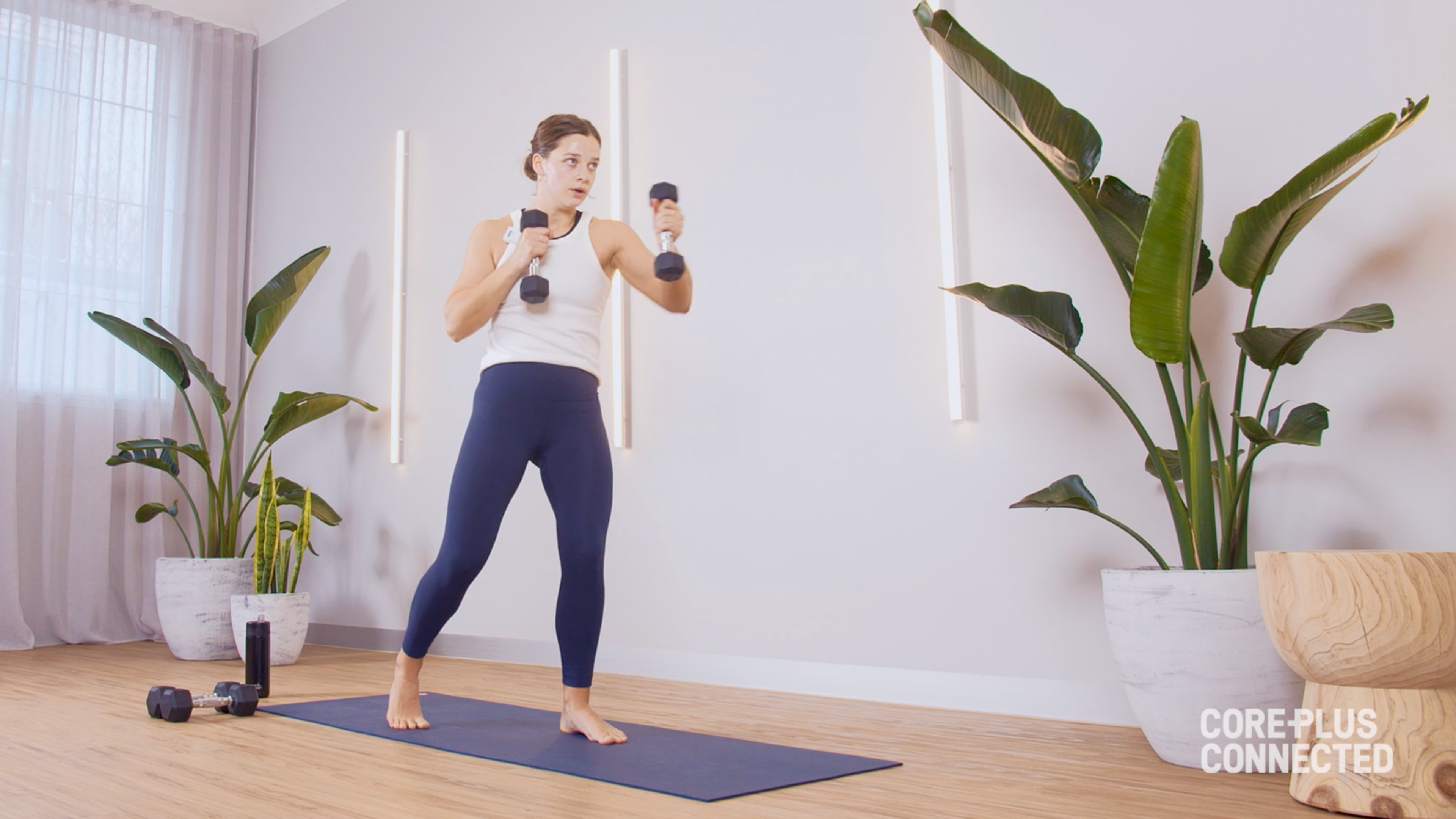 Box and Burn with Roxy