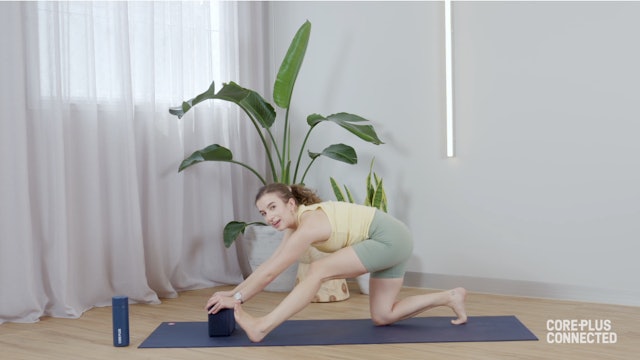 Level 2 Vinyasa Flow with Luisa