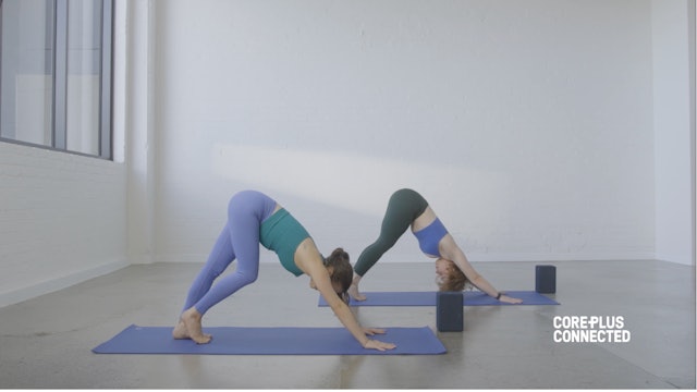 Vinyasa Flow Sequence to Open Your Side Body - Shine Yoga