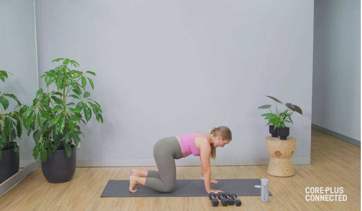 Gentle Pregnancy Strength with Chelsea