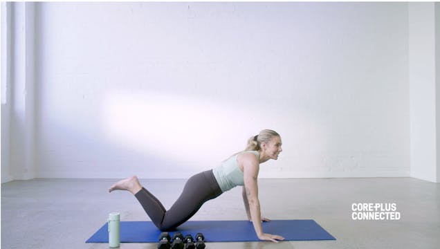 Cardio Ladder with Cheyenne