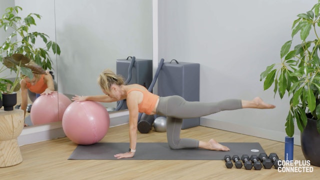 Swiss Ball Pregnancy Full Body with Carnie