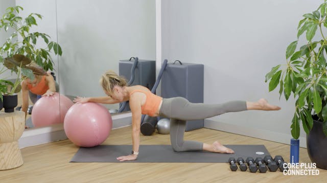 Swiss Ball Pregnancy Full Body with C...