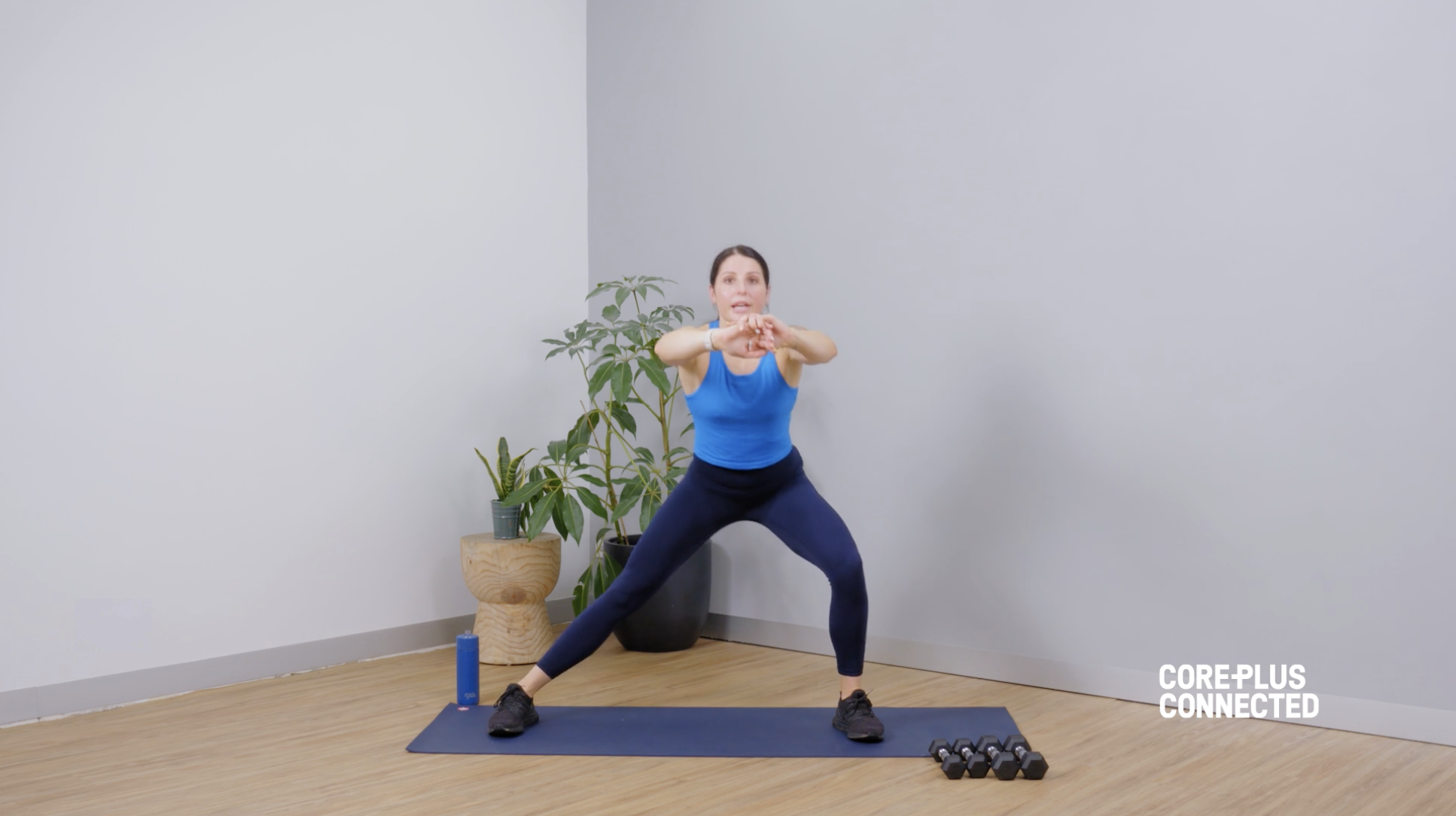 Upper, Lower, and Core Pilates with Nicole