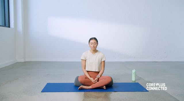 Pre-Test Destress with Avelyn