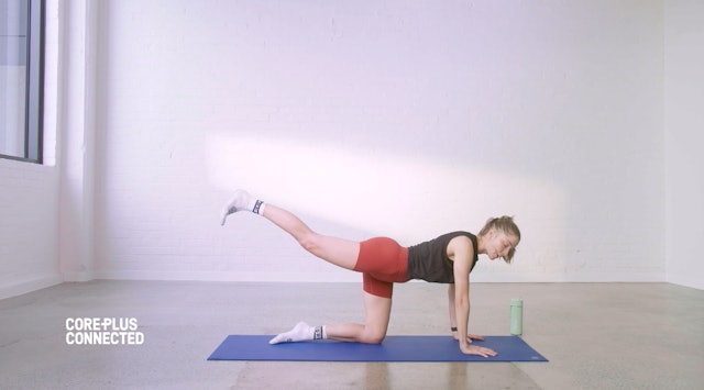 Previous Drops: Roll Up, Roll Up For Pilates Matwork - CorePlus Connected