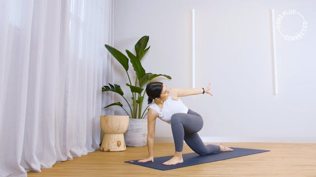 Vinyasa Flow Level 1 with Lauren D