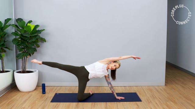 Quick Core 2- Full Core with Jayne