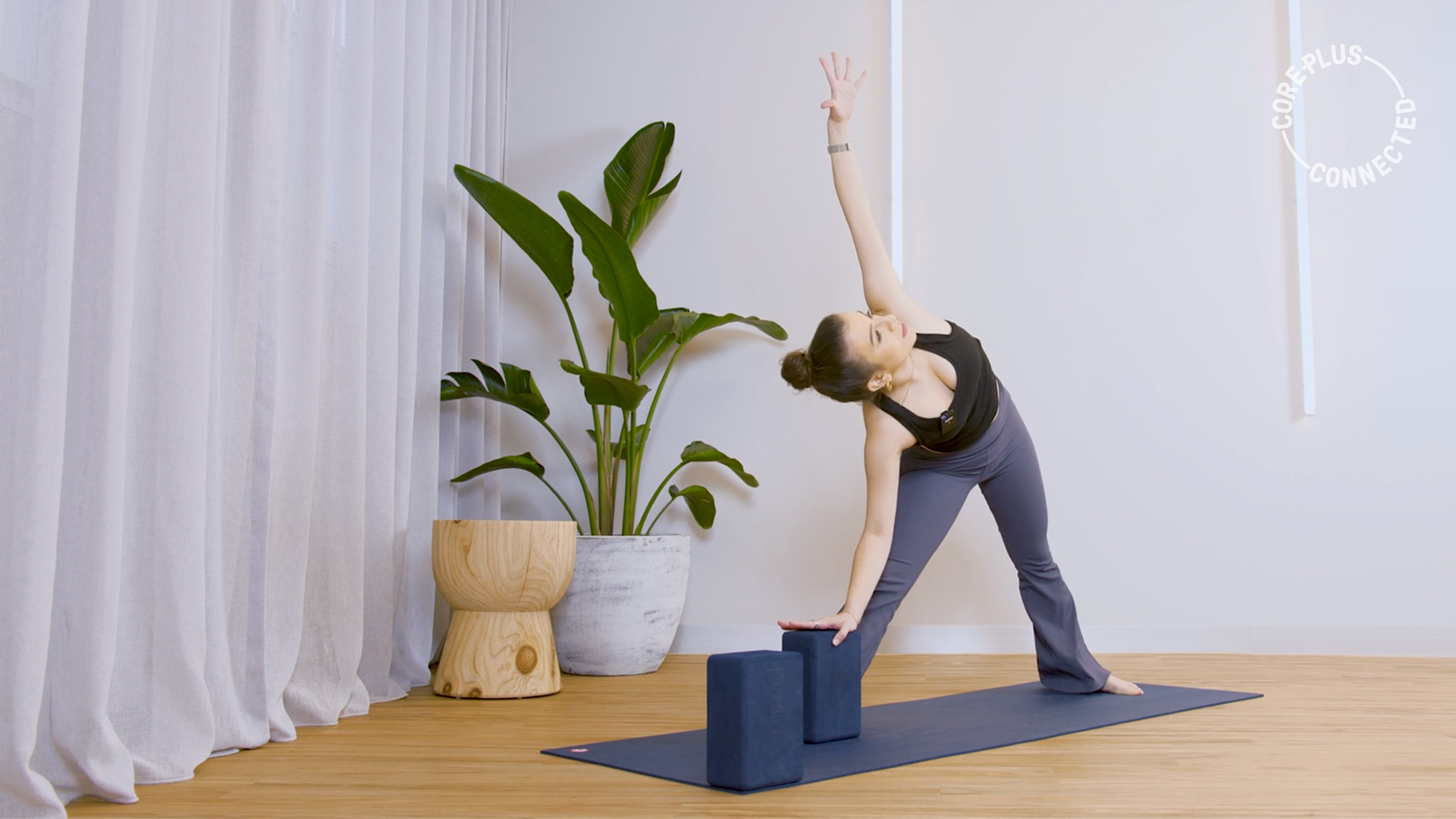 Vinyasa Flow Level 2 with Luisa