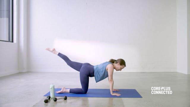 Sculpting Pilates for Pregnancy with ...